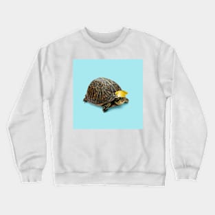 Turtle with nice cup hat Crewneck Sweatshirt